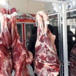 گوشت ارزان می‌شود؟/ هشدار اتحادیه دام سبک درباره بازار گوشت سال آینده