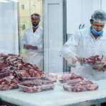 قیمت جدید دام زنده